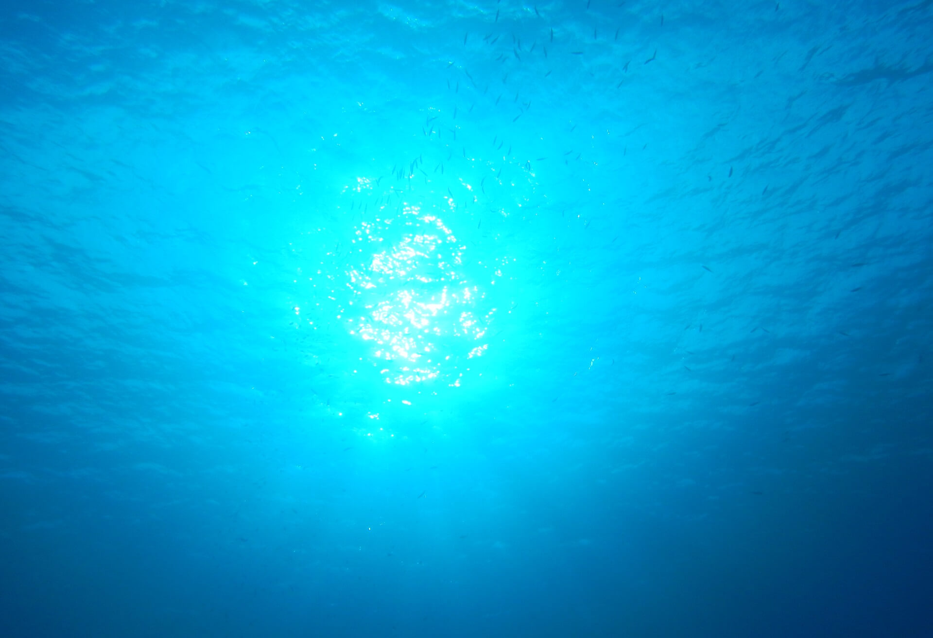 慶良間ダイビングの水中写真（水底から見た水面）