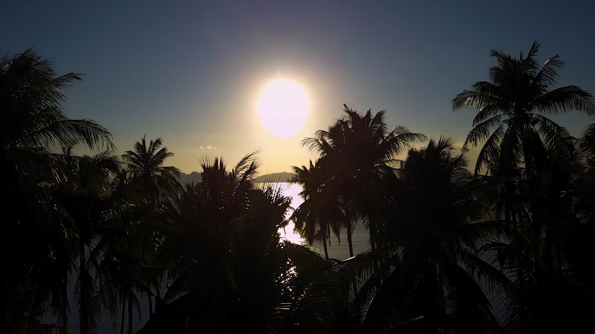 ラスカバナスビーチの綺麗な夕日とヤシの木の写真
